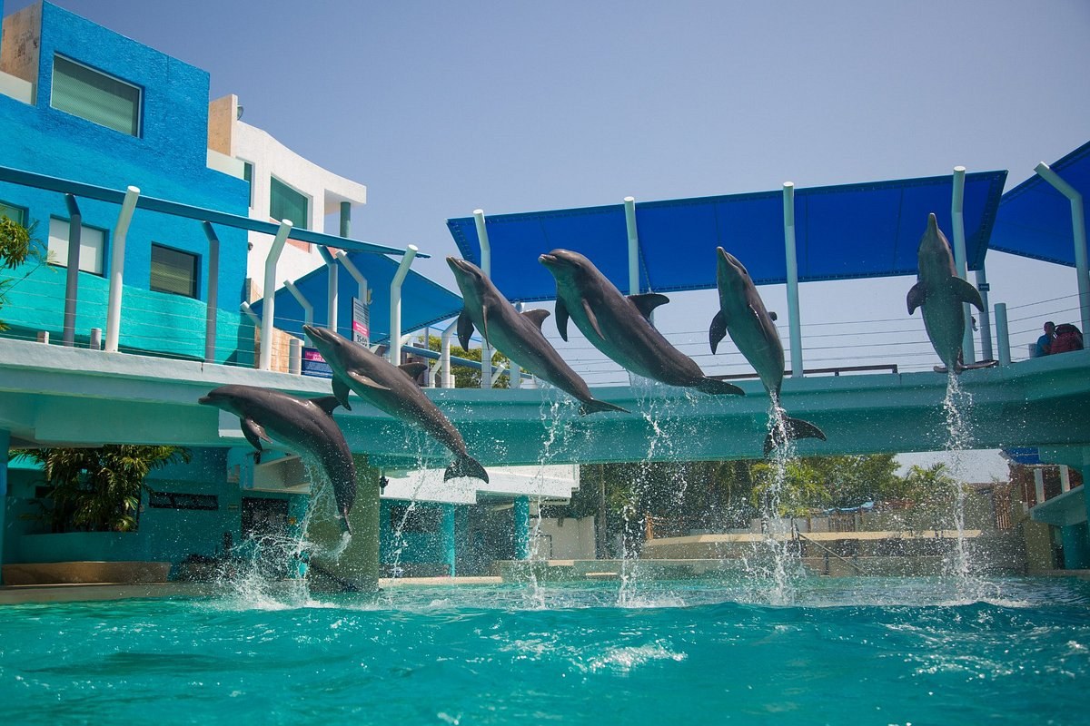 Interactive Aquarium Cancun