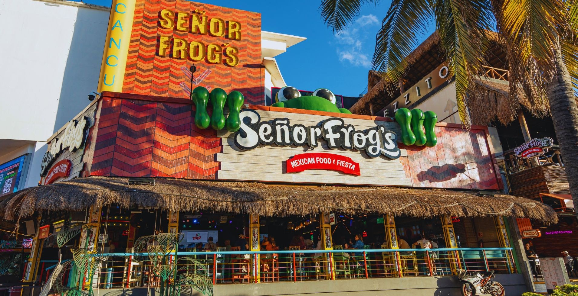 Señor Frog's Show