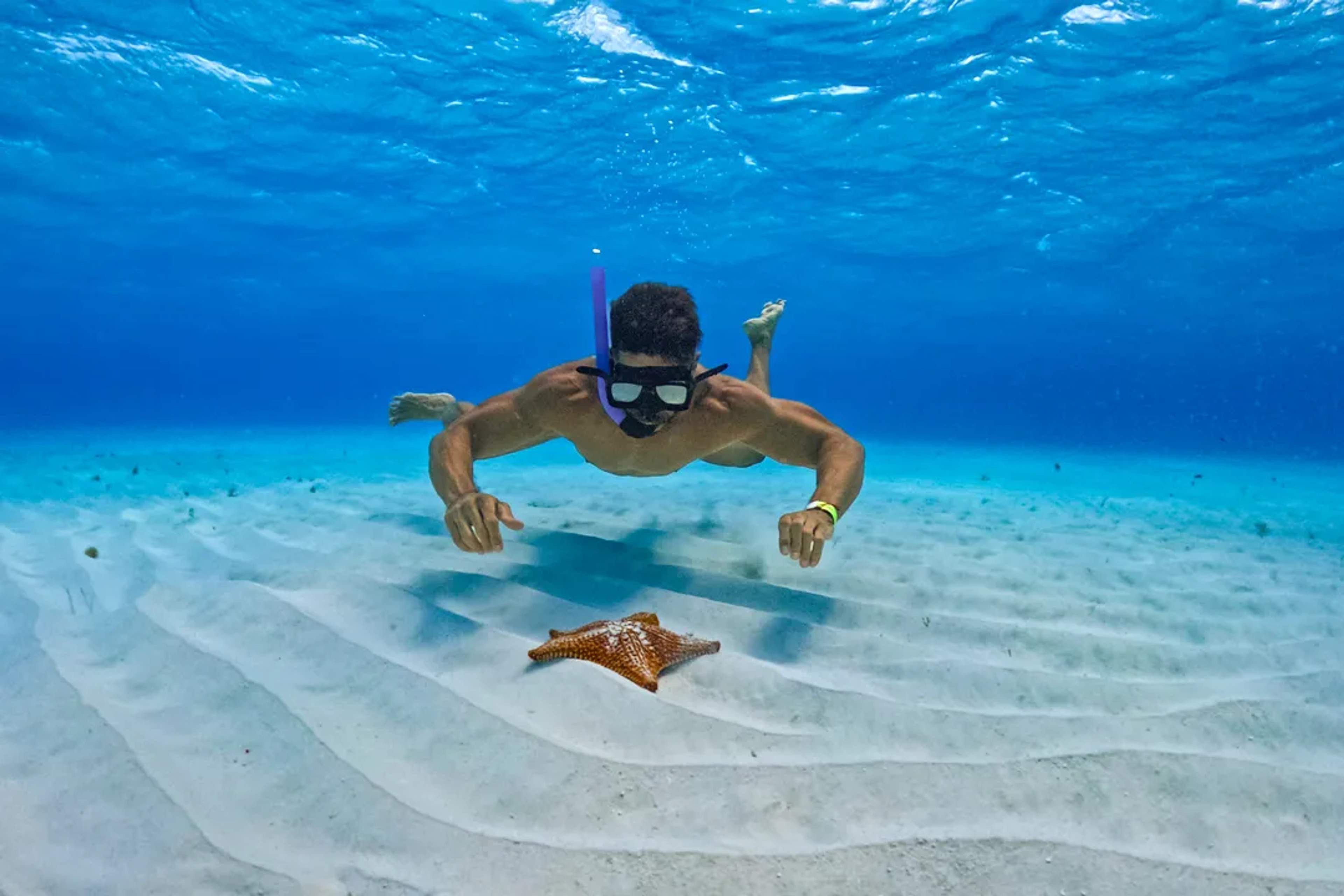 Cozumel Island Snorkel