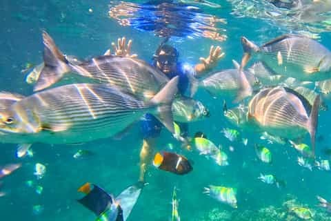 Azul Wala Diving