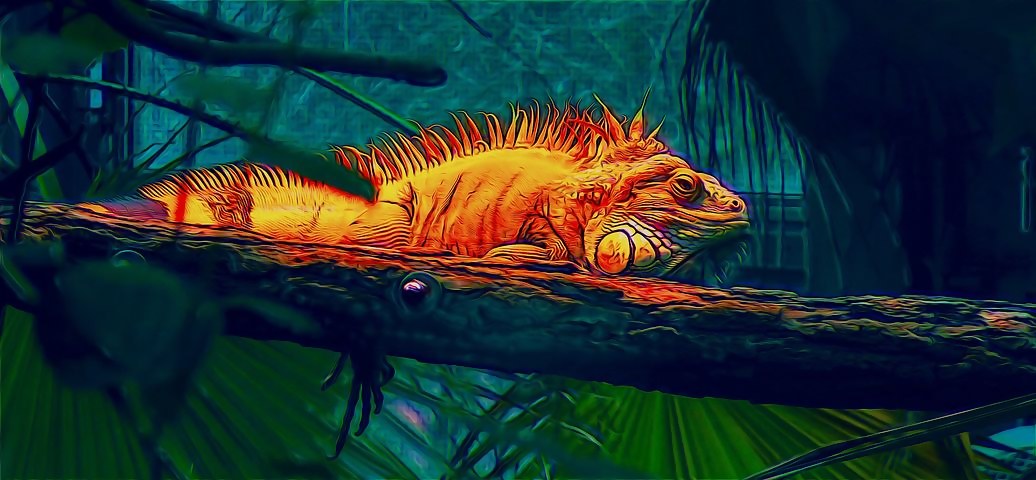 La Noche de Iguana Show