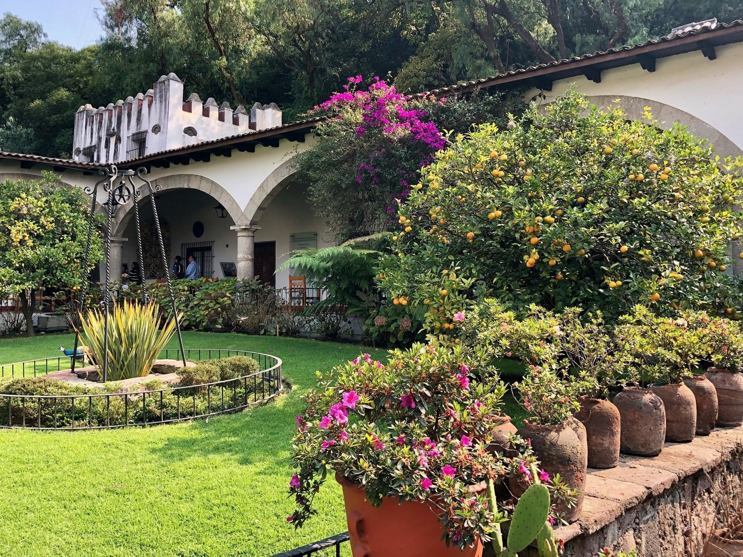 Museo Dolores Olmedo