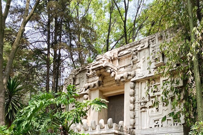 Palenque y Museo Nacional de Antropología Guided Tour