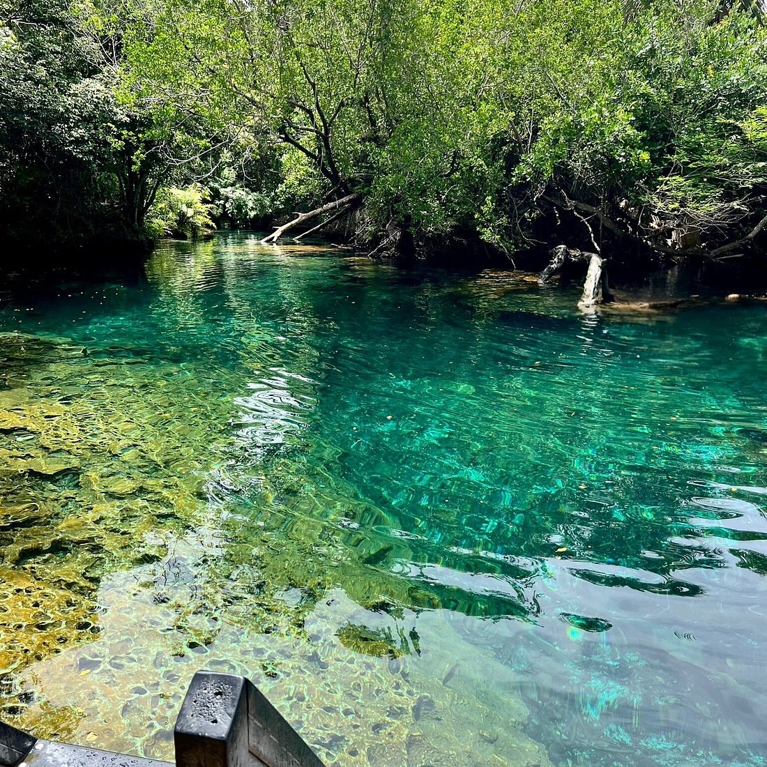 Indigenous Eyes Ecological Park & Reserve