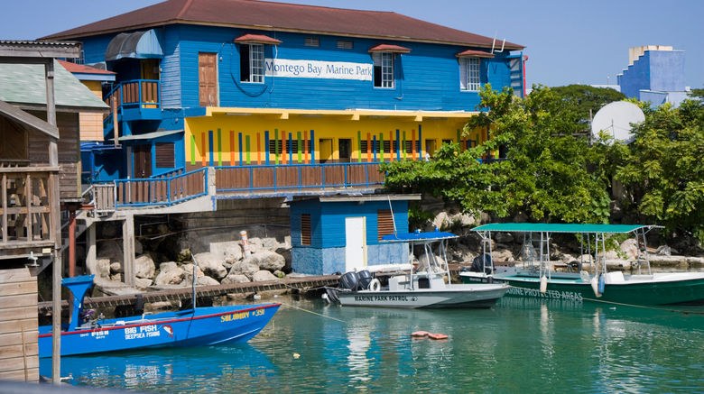 Montego Bay Marine Park