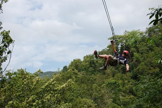 Zipline Jamaica Canopy Tours