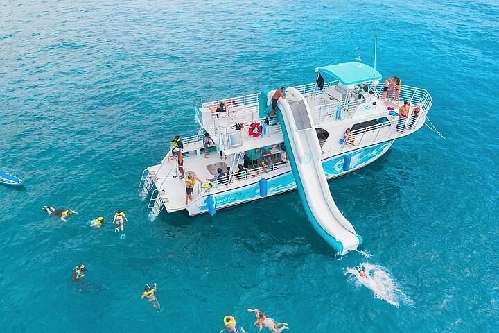 Snorkel Tour - Dolphin & Turtle