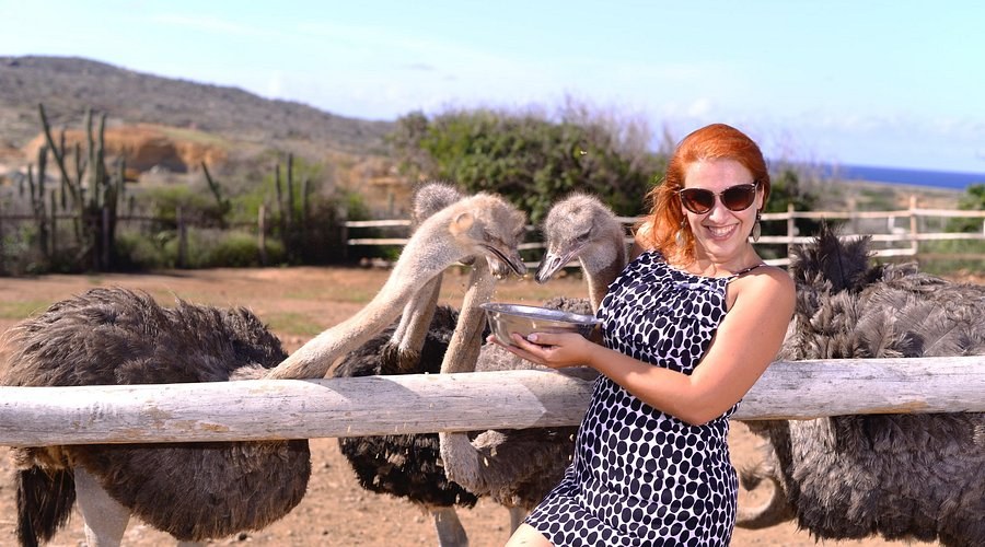 Aruba Ostrich Farm