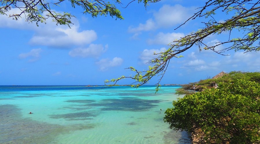 Mangel Halto Beach and Snorkeling