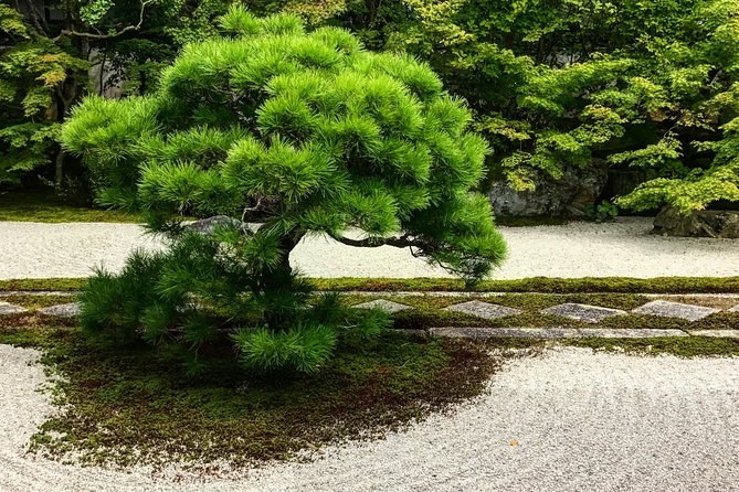 Kyoto Zen Gardens & Tea Ceremony, Private Guide from Osaka Port