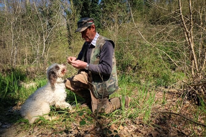 Private Truffle Hunt & Cellar Lunch, Tuscany