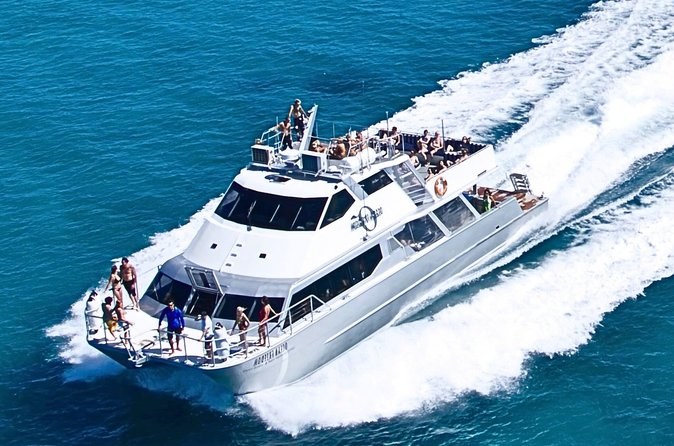 Great Barrier Reef: Private Charter Snorkel & Dive