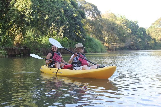Private Wildlife & Mangrove Kayak at Dawn