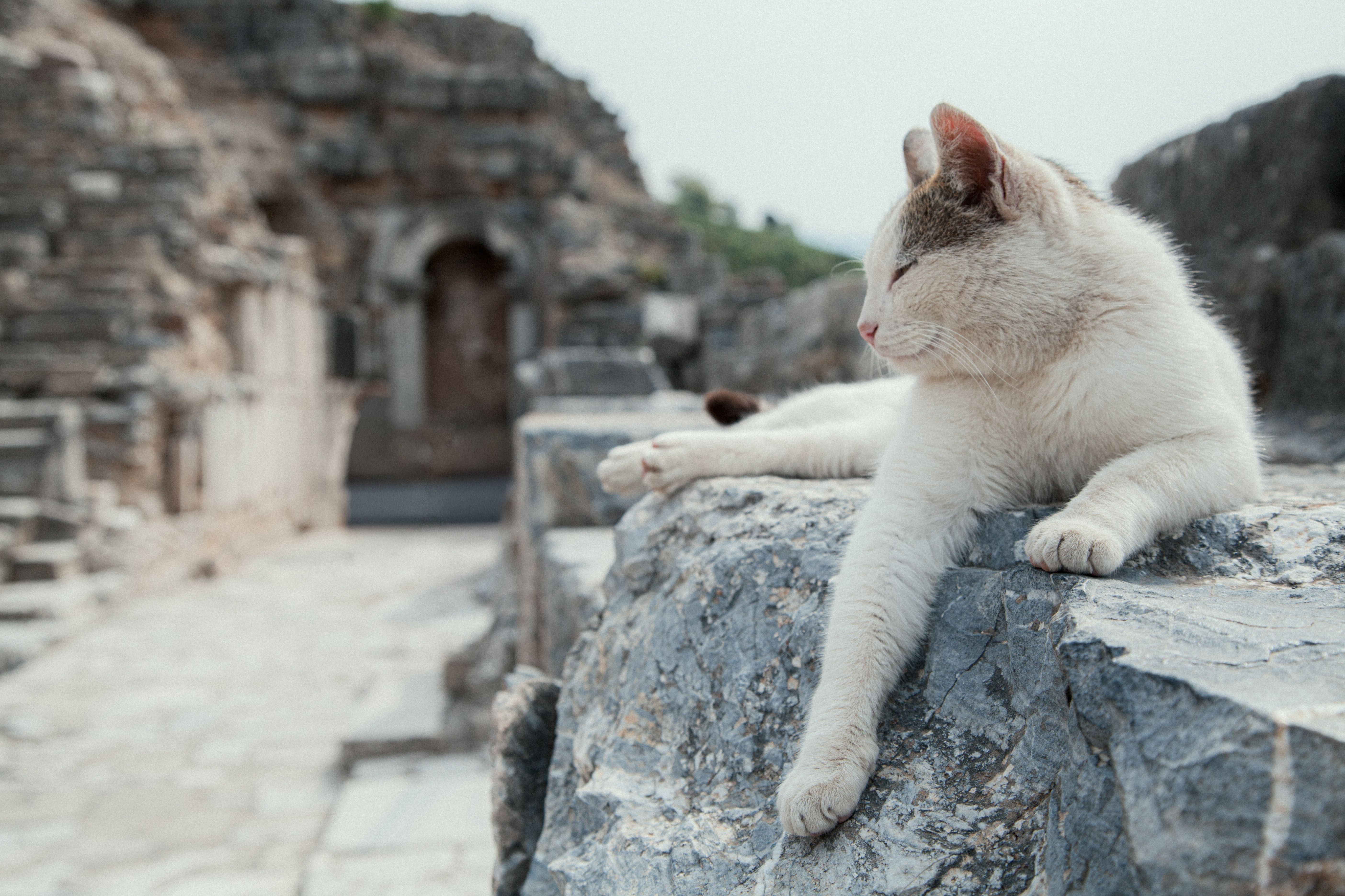 Expert-Led Ancient Ruins & Archaeology Access
