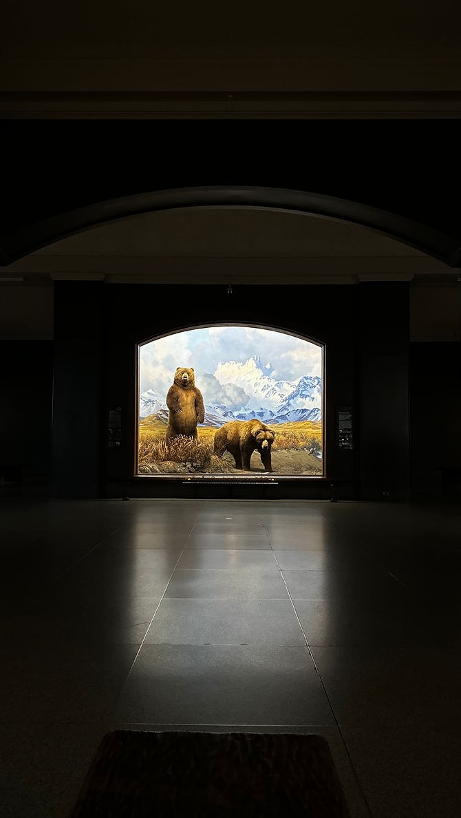 Private After-Hours Museum & Cultural Salon