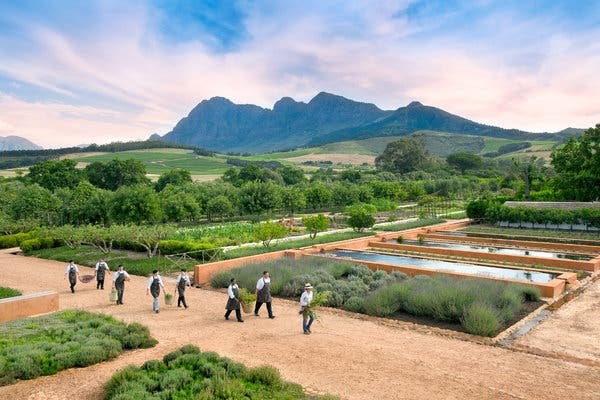 Chef-Led Market-to-Table Culinary Experience