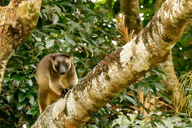Private Wildlife & Coastal Nature Reserve Safari