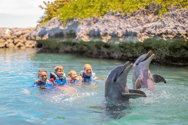 Private Swim with Dolphins & Blue Lagoon Island Retreat