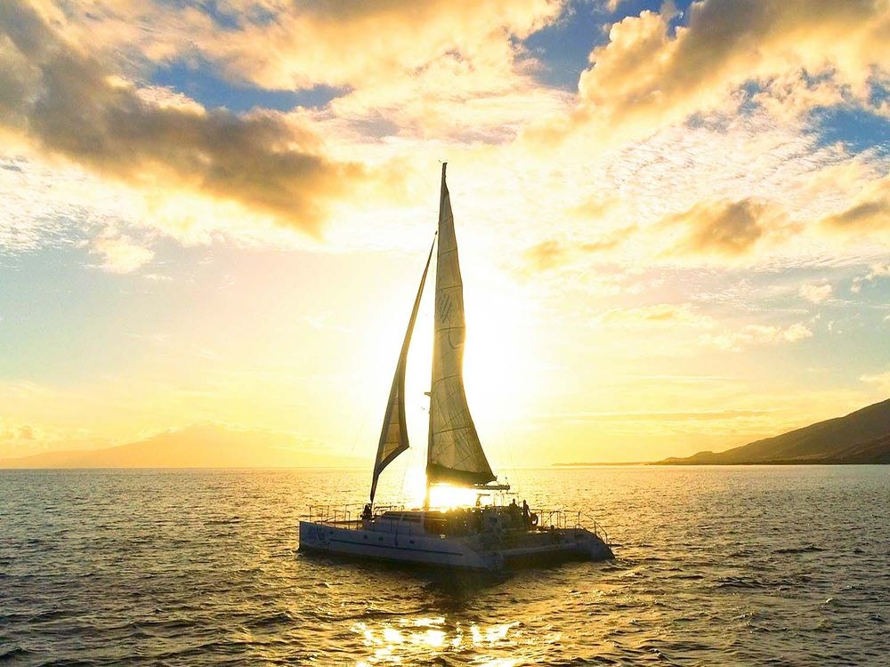 Sunset Catamaran Sail with Private Chef-Prepared Feast