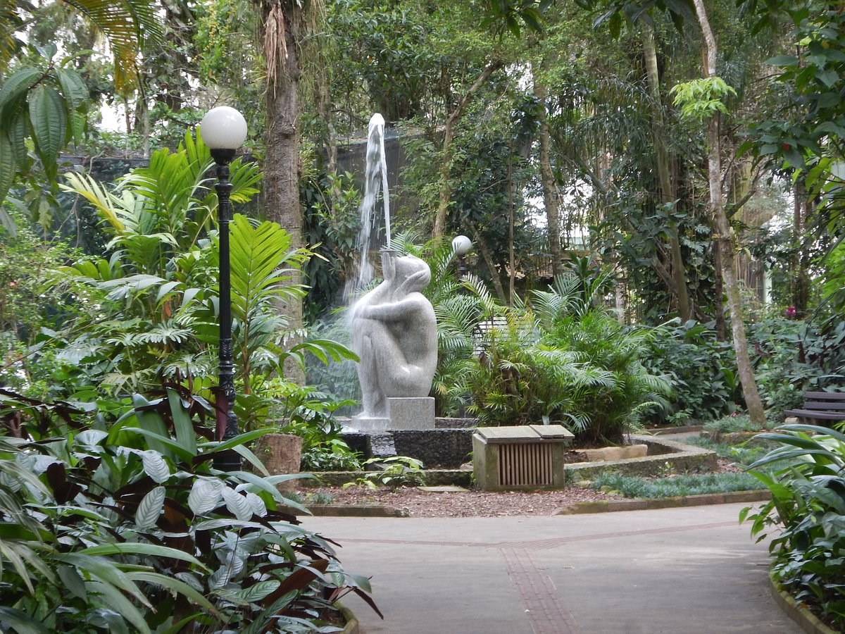Orquidário de Santos: Rare Orchids & Atlantic Forest Walk