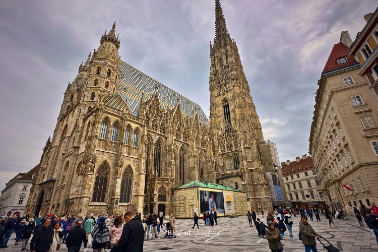 St. Stephen's Cathedral — South Tower Climb & Catacombs