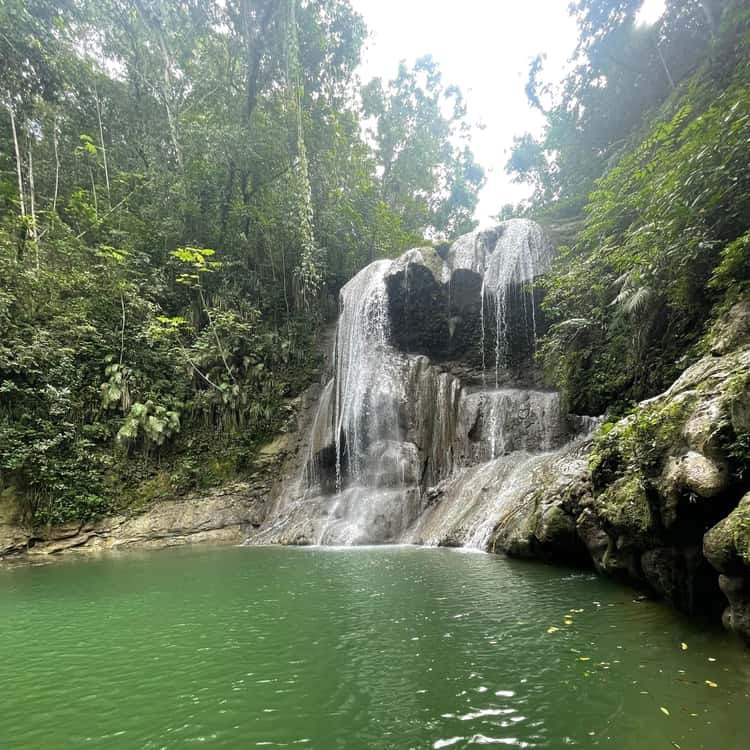 Rainforest Waterfall & Canopy Adventure, Private Guide