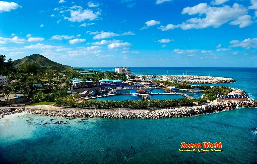 Ocean World Marina: Private Dolphin & Reef Encounter