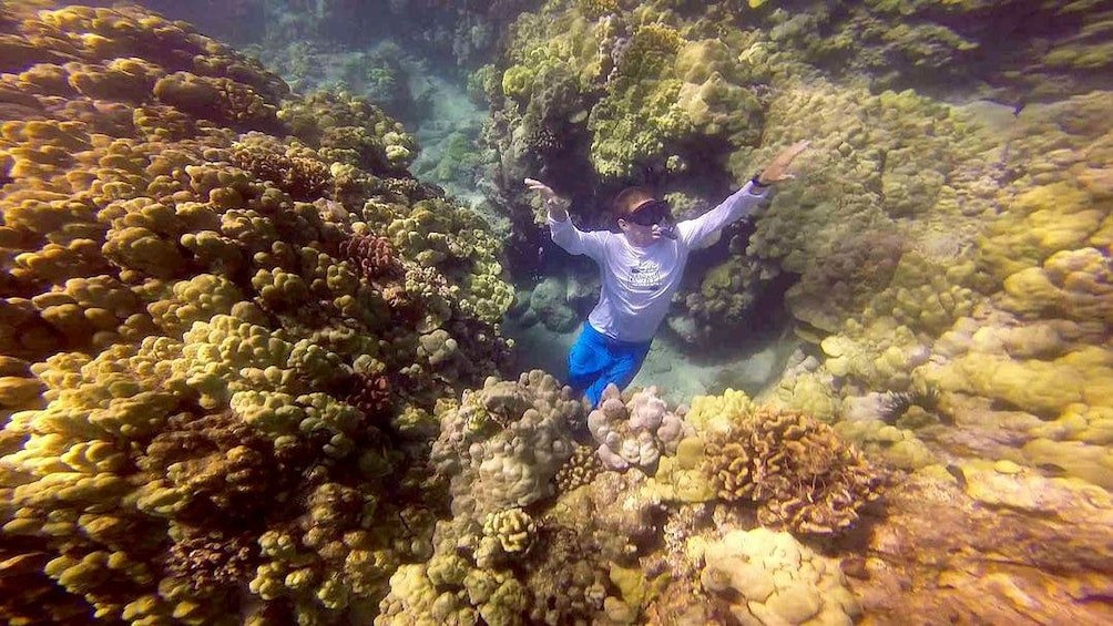Hhehxh Marine Sanctuary: Private Wildlife Encounter