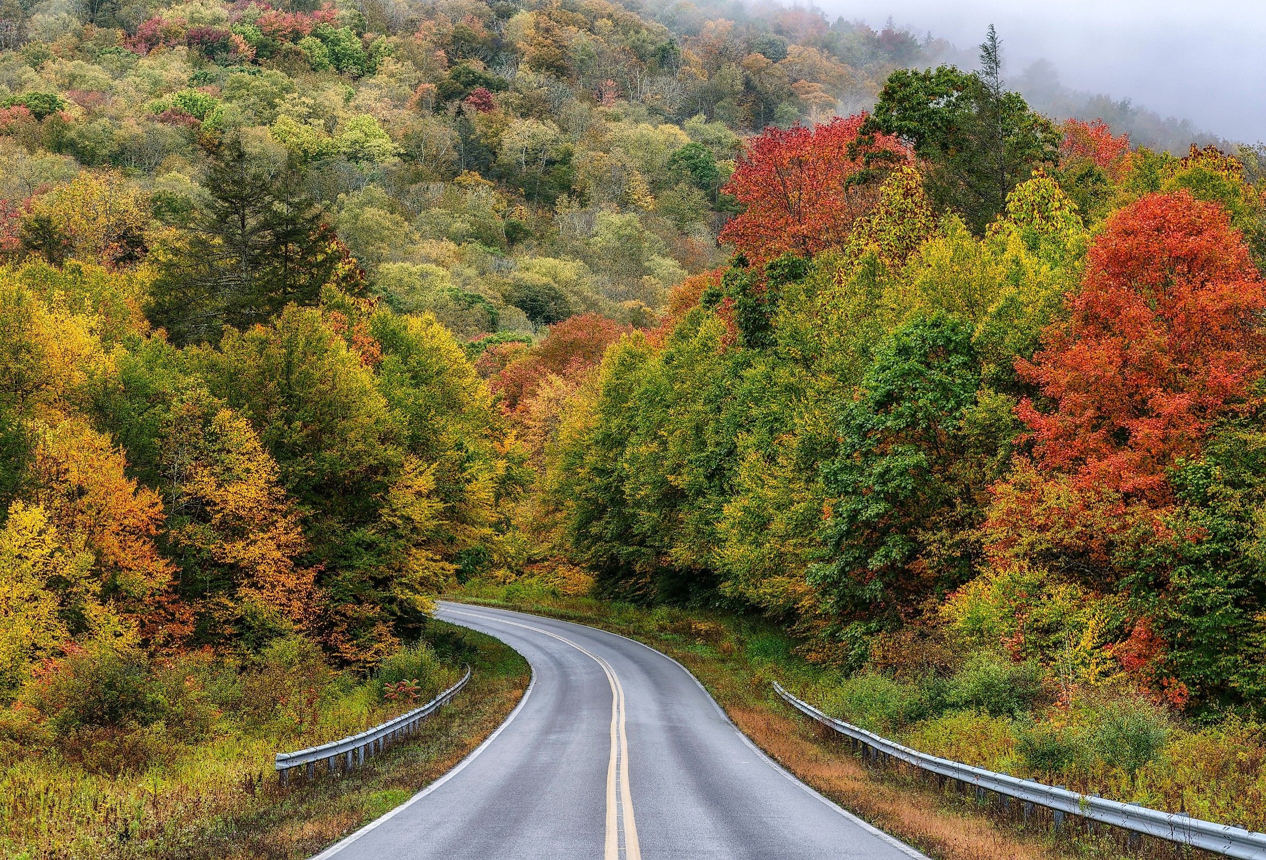 Uhcibfc Highlands: Private 4x4 Scenic & Wildlife Drive