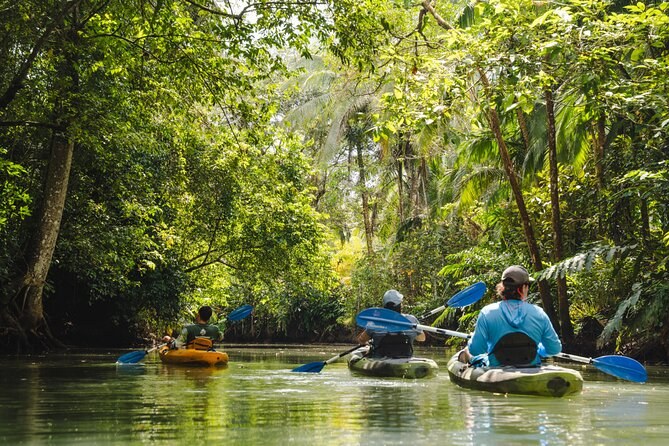 Wildlife & Mangrove Kayak at Dawn