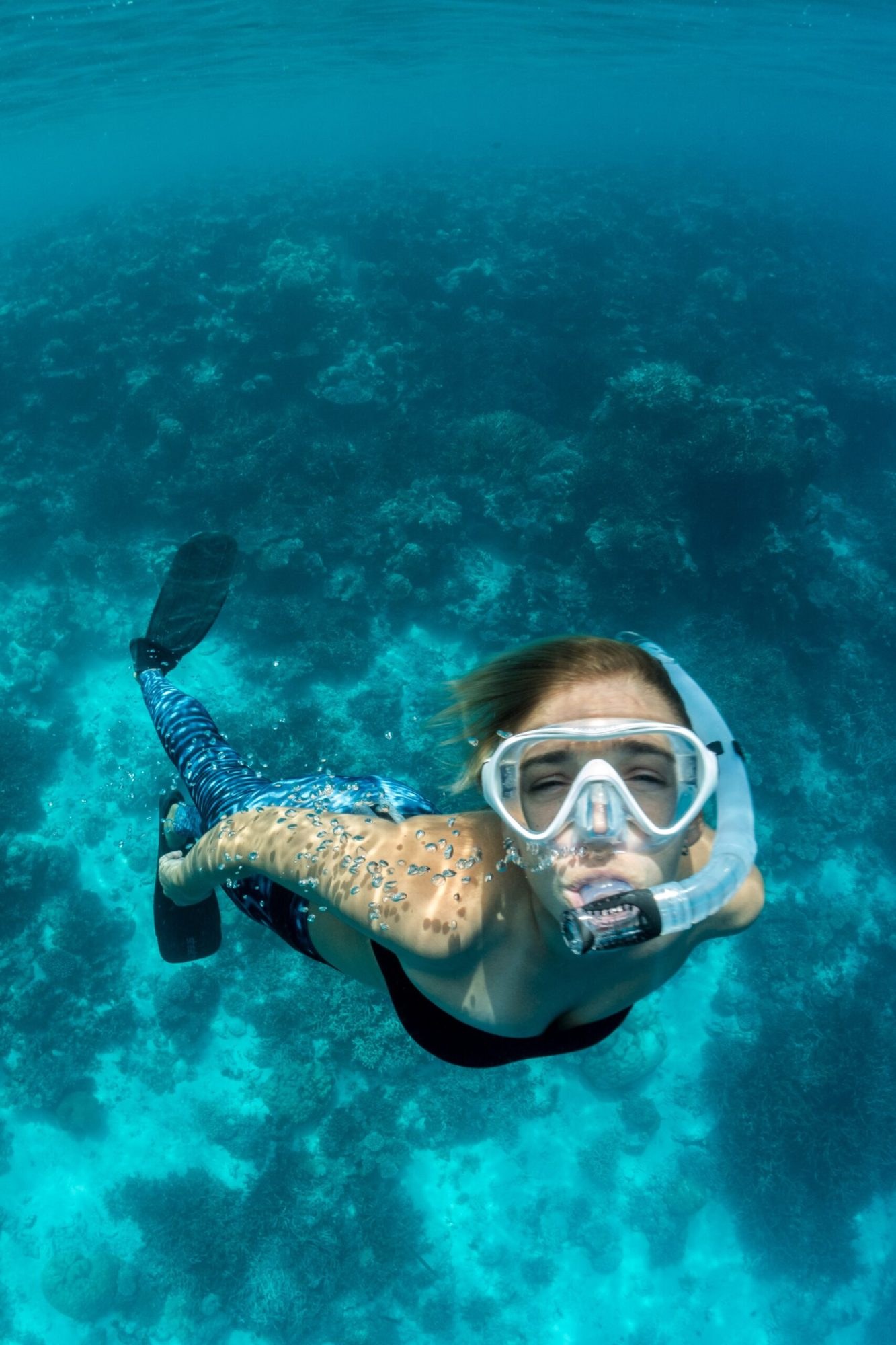 Psqyur Waters: Private Snorkel & Marine Life Encounter