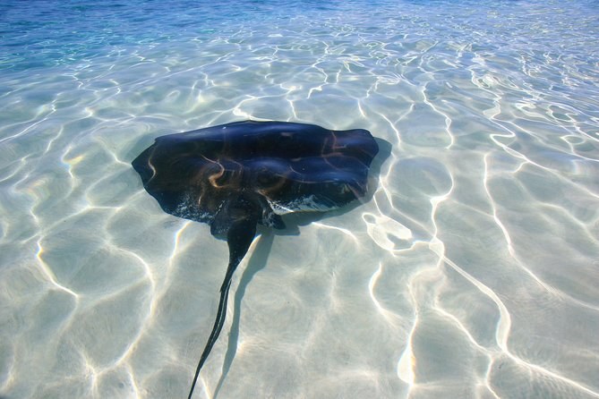Grand Turk Jet Ski Safari to Gibbs Cay Stingrays
