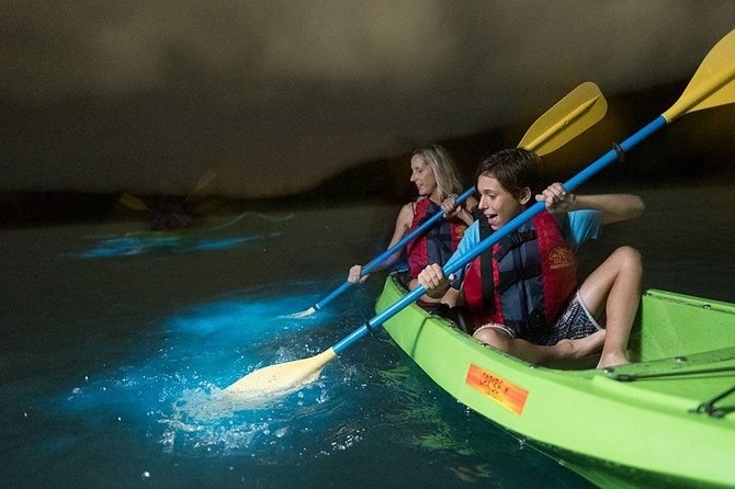 Sunset Sea Kayak & Bioluminescent Bay Paddle