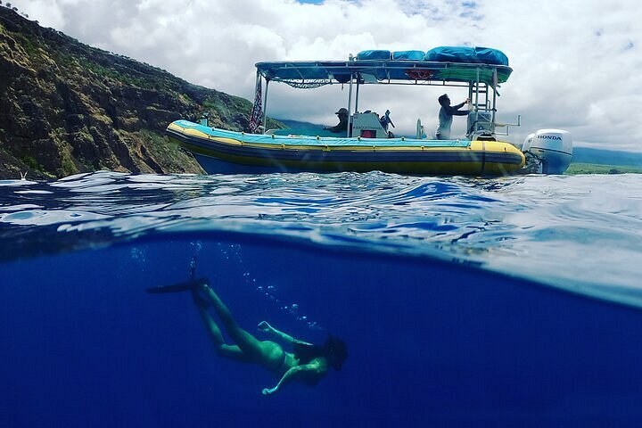 Small-Group Snorkel & Marine Reserve Expedition