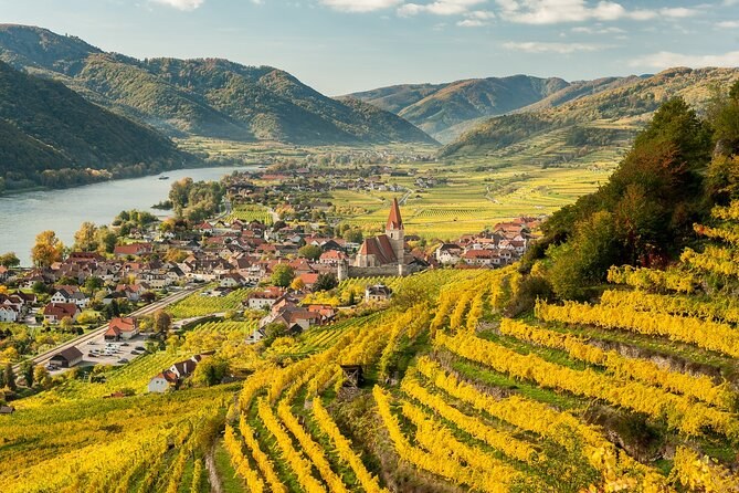 Wustqegvh Wine & Terroir: Private Estate Tasting