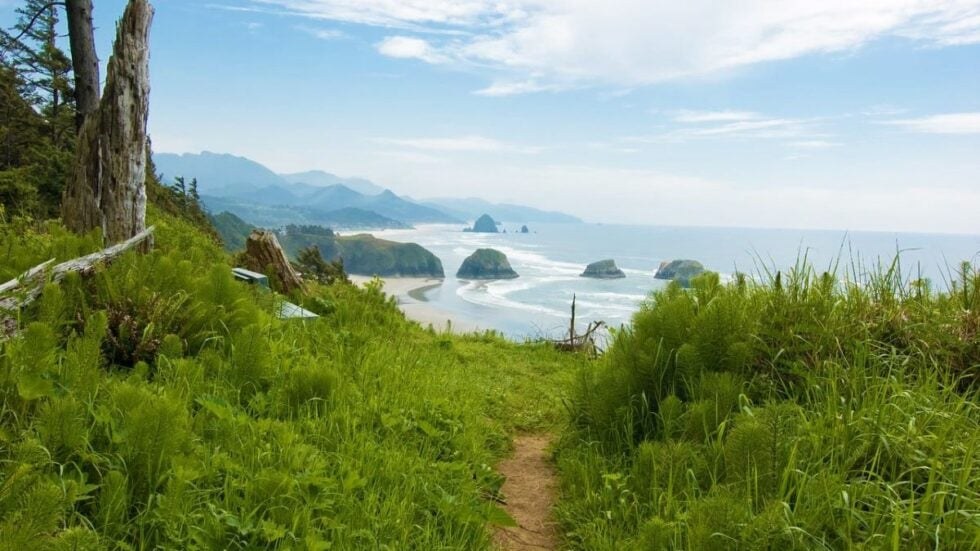 Private Rugged Coastline Hike & Viewpoint Picnic