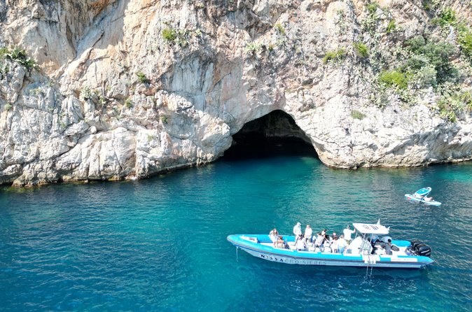 Private Boat Wildlife Watching & Sea Cave Exploration