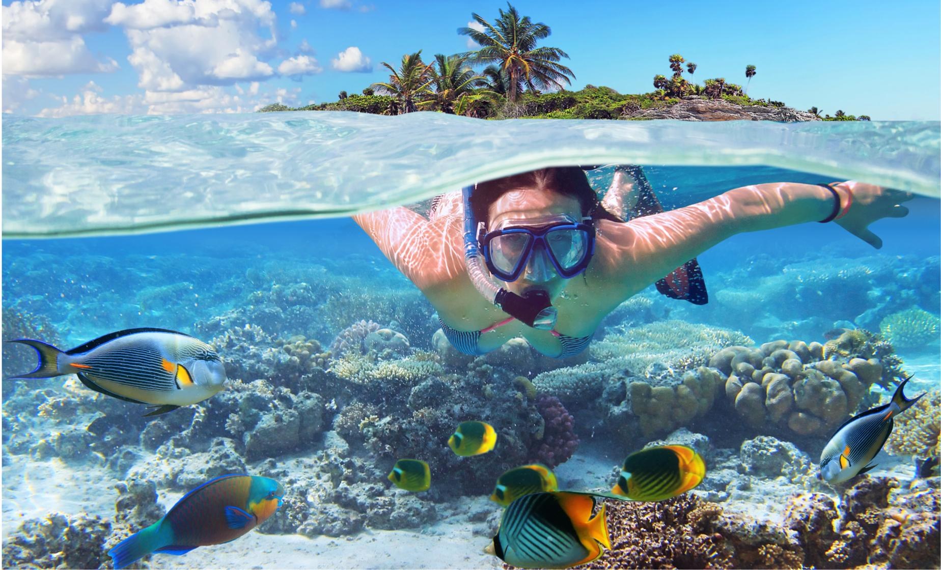 Wunejksux Reef: Private Snorkel & Marine Naturalist