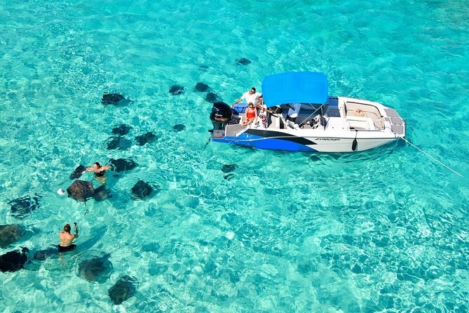 Private Sunrise Catamaran & Snorkel Charter