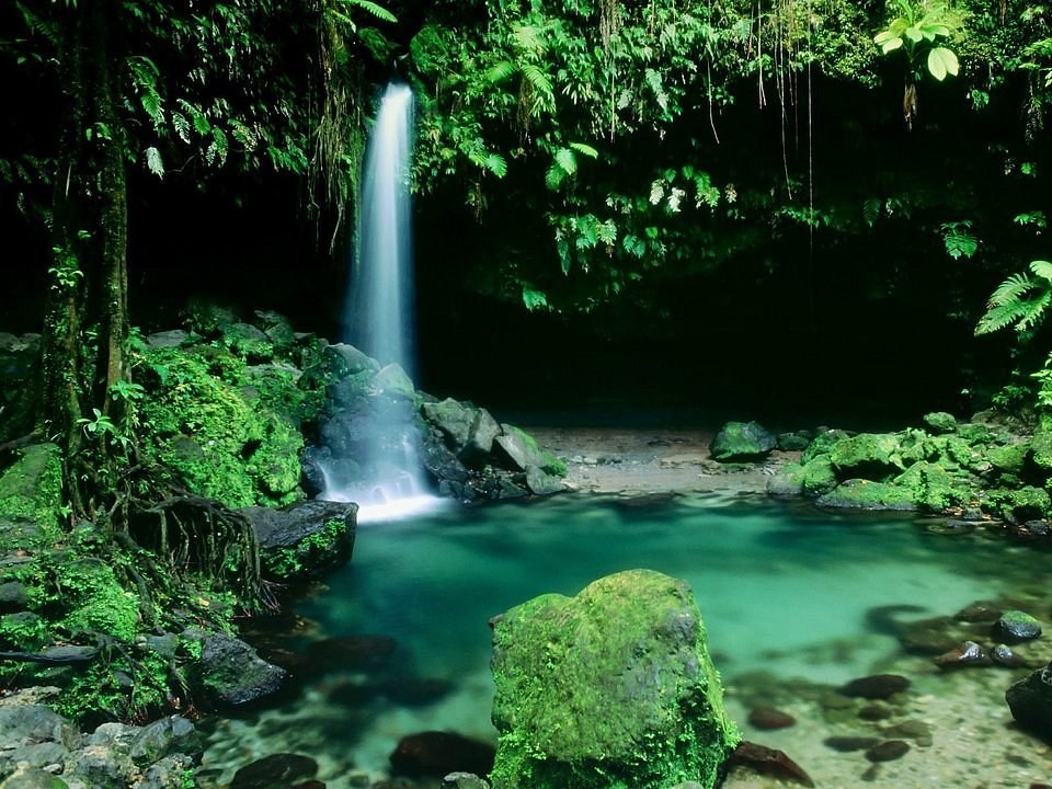 Morne Trois Pitons Rainforest: Emerald Pool & Jungle Immersion