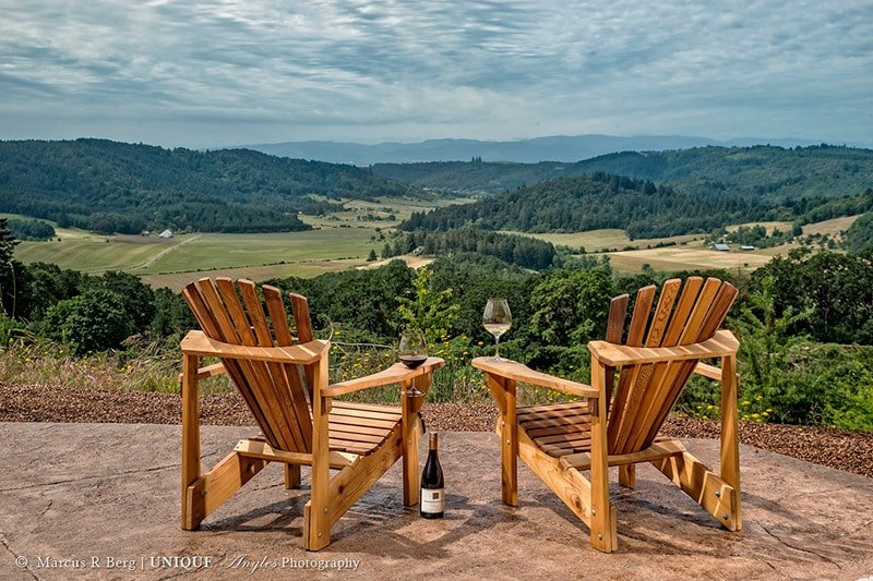 Private Scenic Overlook Drive & Vineyard Tasting