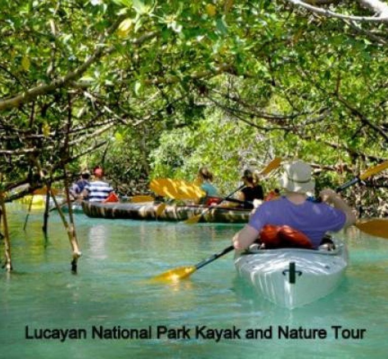 Lucayan National Park Private Cave & Mangrove Kayak