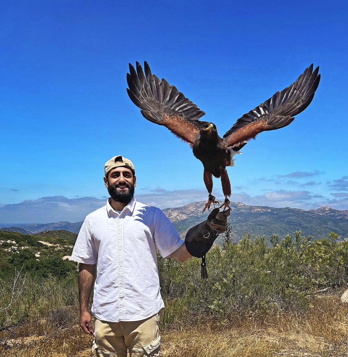 Falconry & Wildlife Encounter in the Hill Country