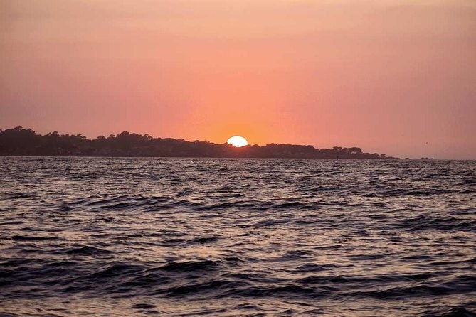 Monterey Bay Sunset Sail with a Naturalist Skipper