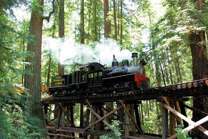 Santa Cruz Mountains Redwoods by Vintage Steam Train