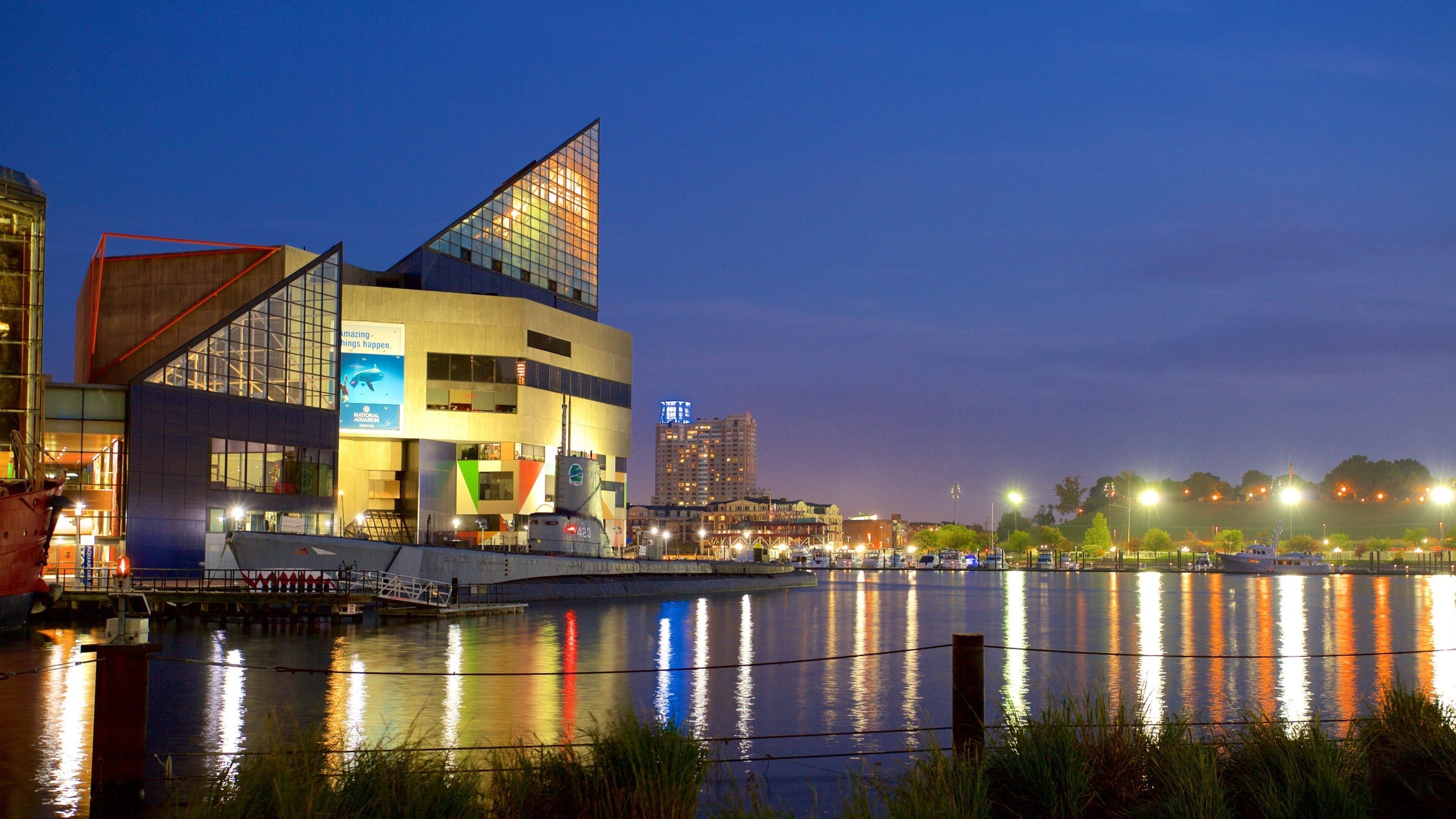 National Aquarium: Dolphin Training Session & Insider's Tour