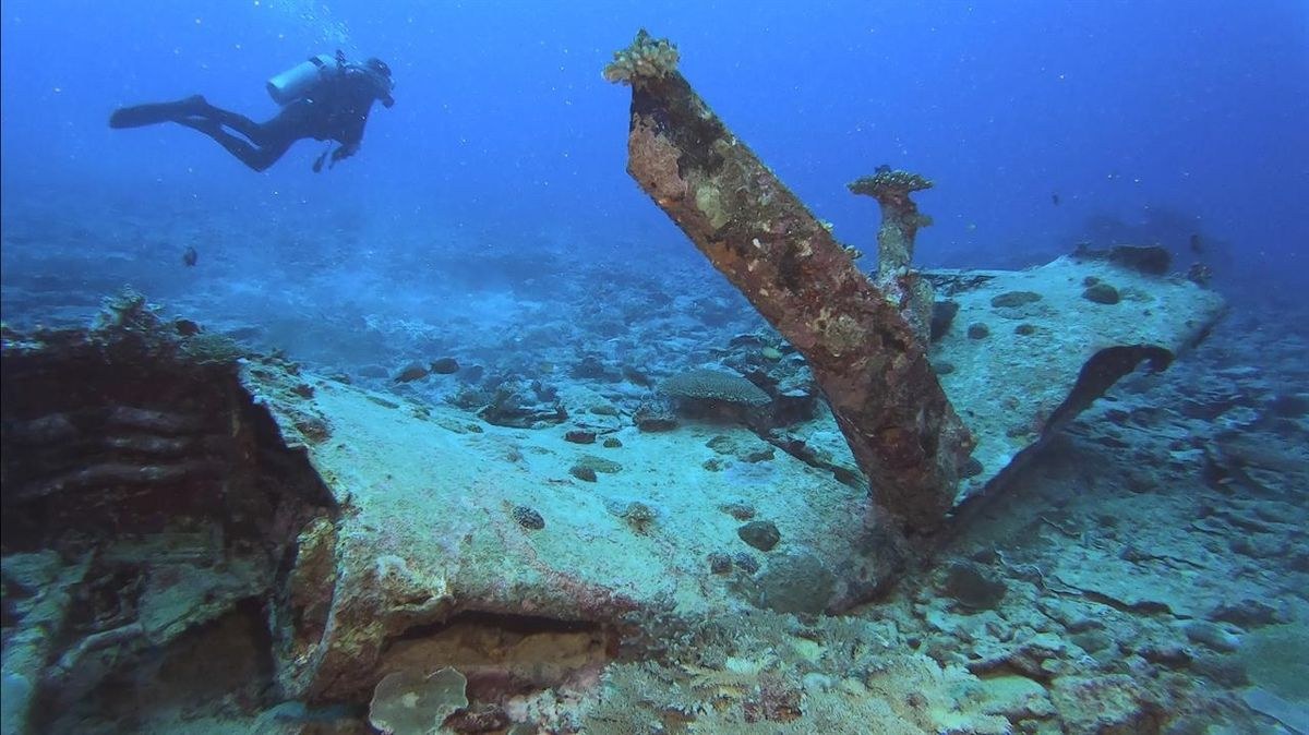 Tobruk's WWII Wrecks: Private Snorkel Among Sunken Ships