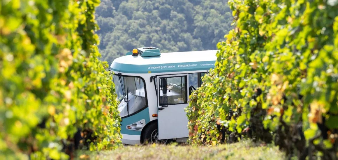 Cote-Rotie Tour: City Tram through the Terraced Vineyards from Ampuis