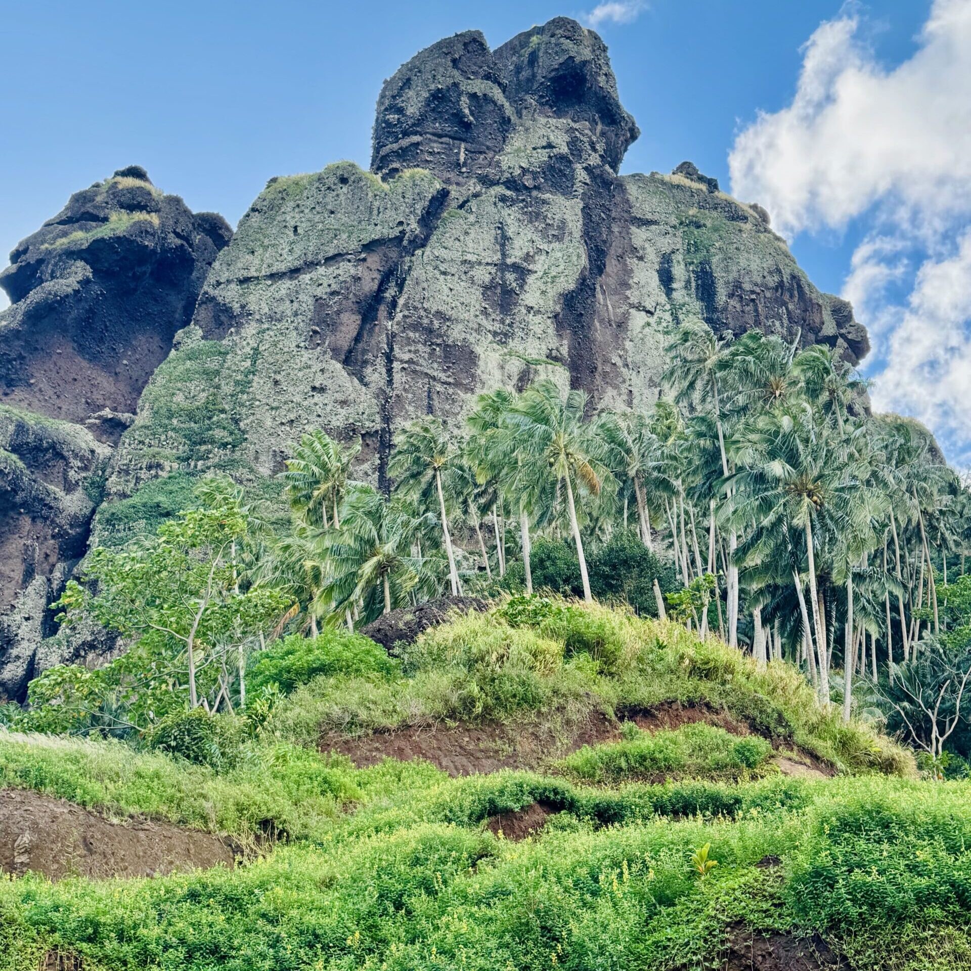 Omoa–Hanavave Ridge Trek with a Local Guide