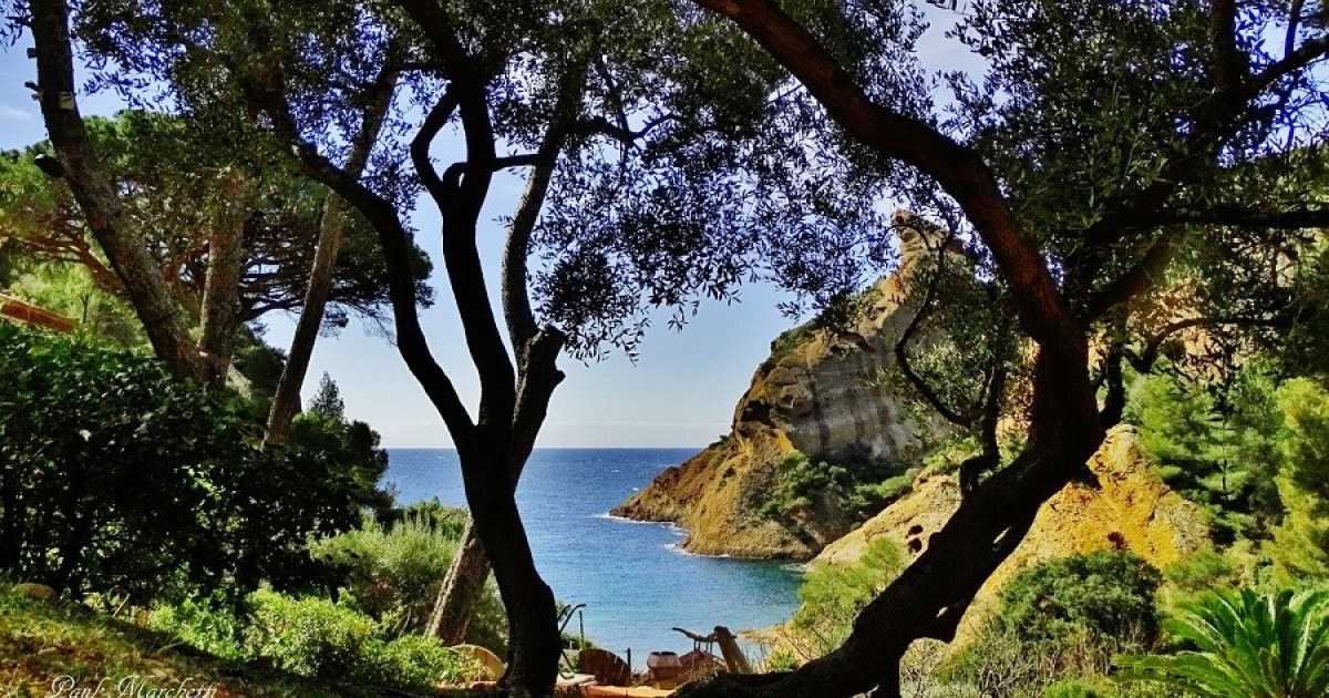 Calanque de Figuerolles at Dawn, Guided Walk